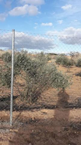 Terreno en venta en Almansa, Almansa photo 0