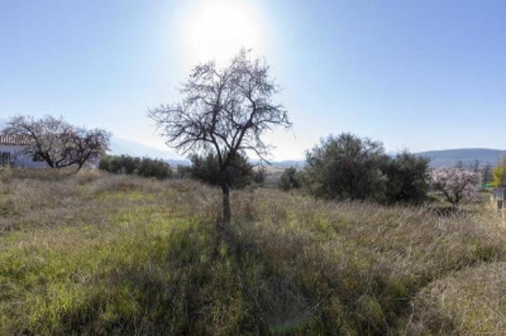 Terreno en venta en Padul, Padul photo 0