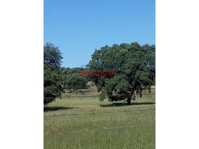 Chalet en venta en Alcolea de Tajo photo 0