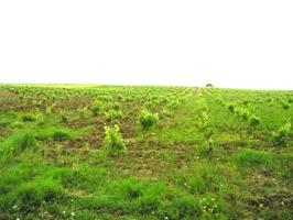 Terreno en venta en Puebla de Sancho Pérez, Puebla de Sancho Pérez photo 0