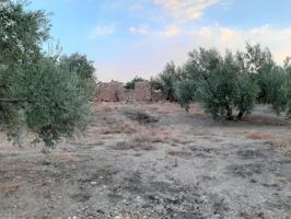 Chalet en venta en Peal de Becerro, Peal De Becerro photo 0