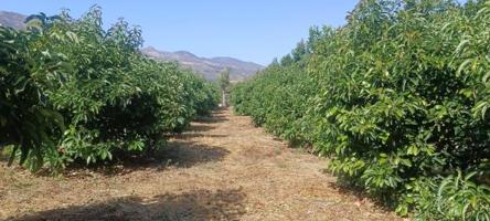 Terreno en venta en Lecrín, South of spain photo 0