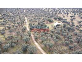 Chalet en venta en Majadas photo 0