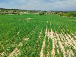 Terreno en venta en Almansa, Cantoblanco photo 0