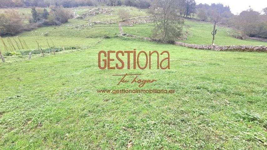 Terreno en venta en Arredondo, Bustablando photo 0