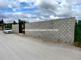 Terreno en venta en Moriles, Ctra. Moriles-Aguilar de la Fra,, 14510 photo 0