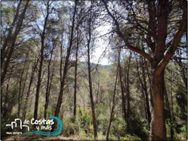 Terreno en venta en La Font d'En Carros photo 0