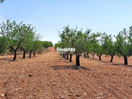 Terreno en venta en Jumilla photo 0