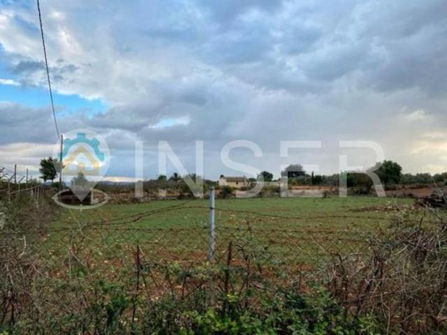 Terreno en venta en Inca photo 0