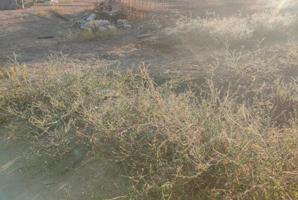 Terreno en venta en Gibraleón, El pintao, 21500 photo 0