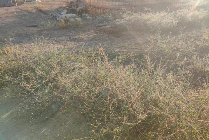 Terreno en venta en Gibraleón, El pintao, 21500 photo 0