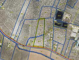 Terreno en venta en Morón de la Frontera, Moron De la Frontera photo 0