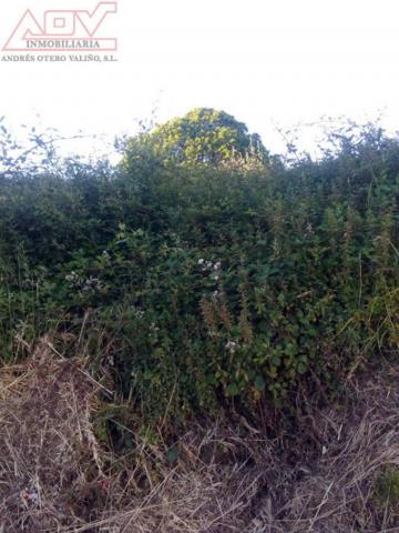 Terreno en venta en Ferrol, Santa Marina photo 0