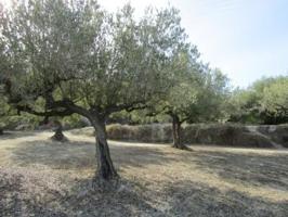 Terreno en venta en Ráfol de Salem, Ráfol de Salem photo 0