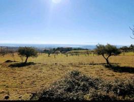 Terreno en venta en Candeleda, Candeleda photo 0