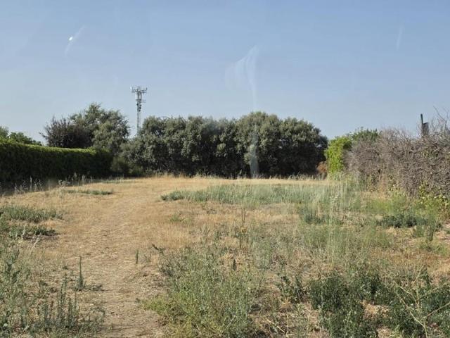 Terreno en venta en Casar, Castilla la mancha photo 0