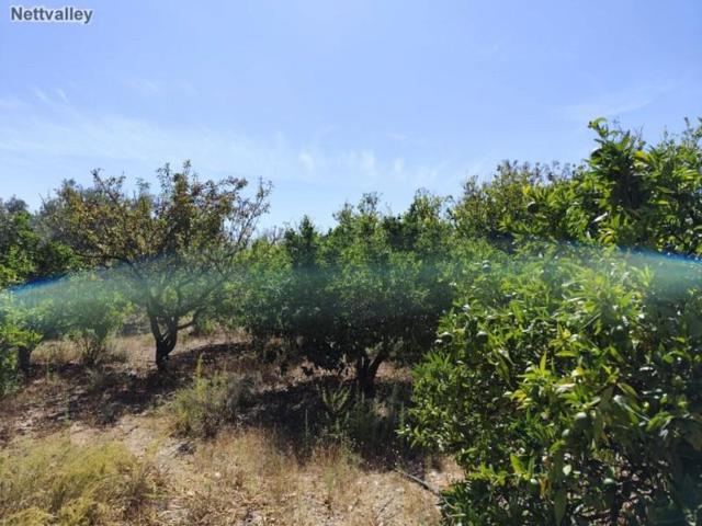 Casa con terreno en venta en Lecrín photo 0