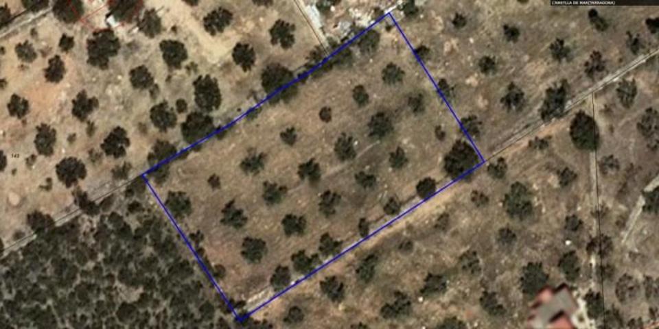 Terreno en venta en L'Ametlla de Mar, Afueras del pueblo photo 0