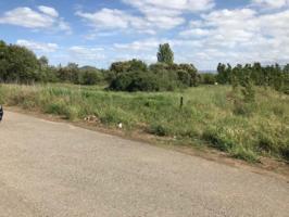 Terreno en venta en Cabañas Raras, *CORTIGUERA photo 0