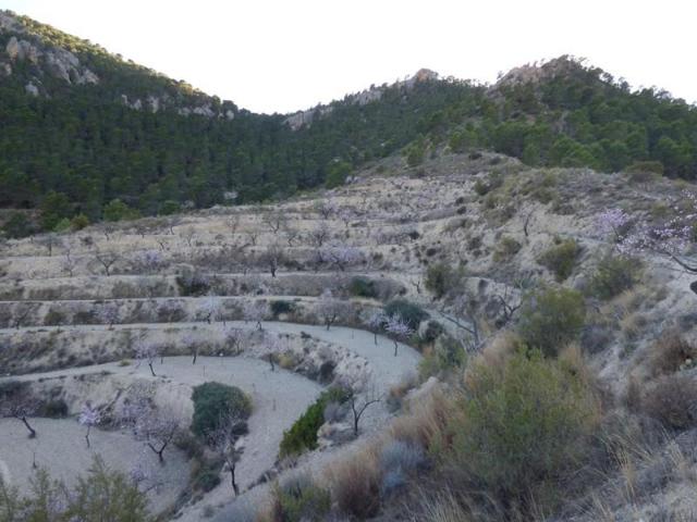 Terreno en venta en Sella, Pda Almusent, 03579 photo 0