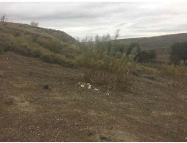 Terreno en venta en Albalate de Zorita, Illana photo 0