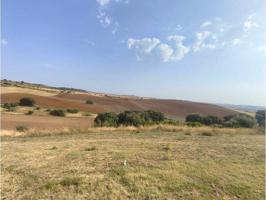 Terreno en venta en Galápagos photo 0