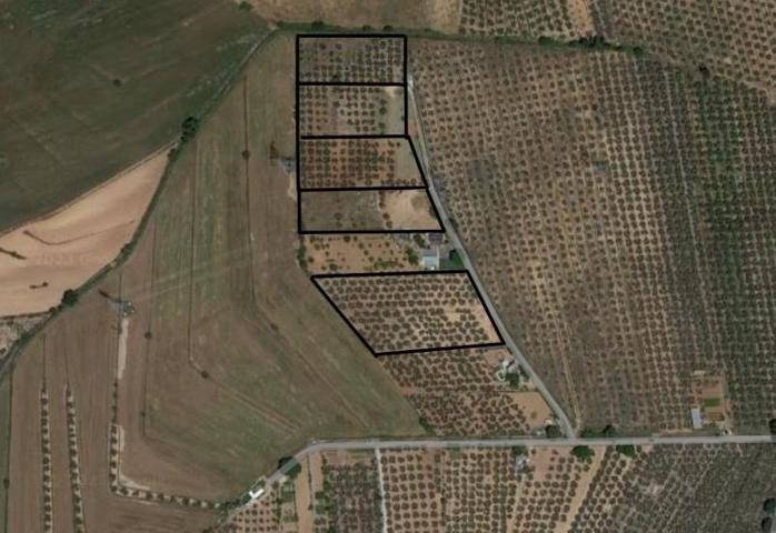 Chalet en venta en Albolote, OTRAS photo 0