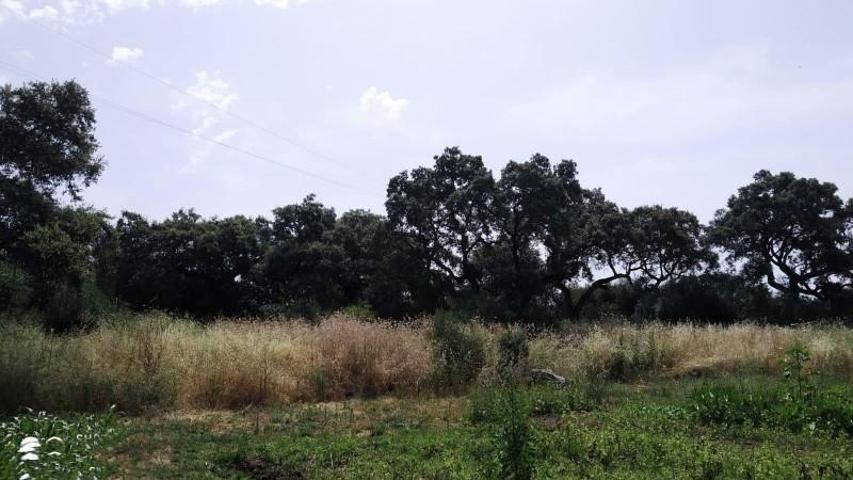 Terreno en venta en Córdoba, Alcolea photo 0