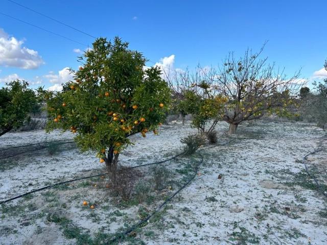 Casa en venta en Novelda, CAMPET photo 0