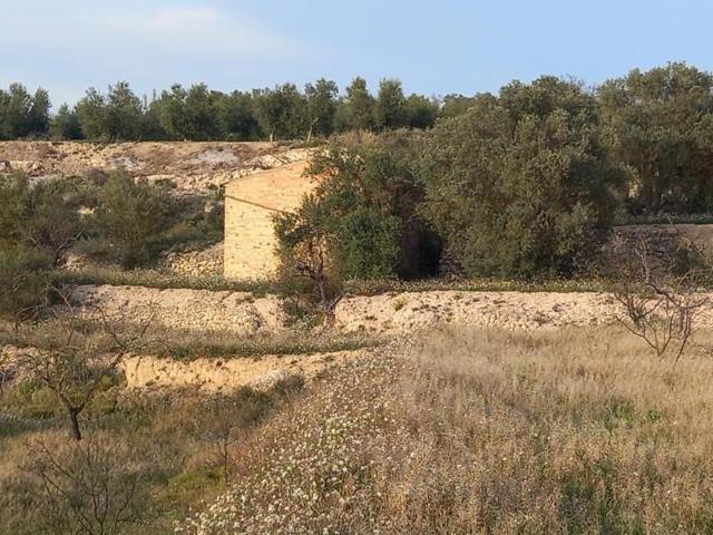 Terreno en venta en Flix, Cataluna photo 0