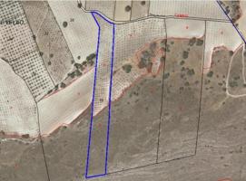 Terreno en venta en Arenas del Rey, Arenas del Rey photo 0