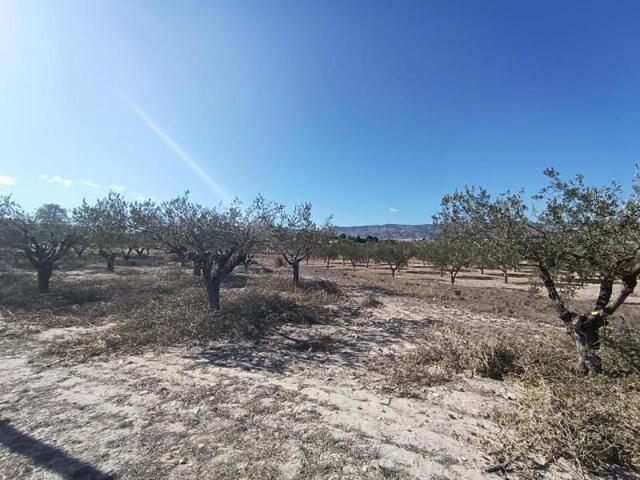 Terreno en venta en Castalla photo 0