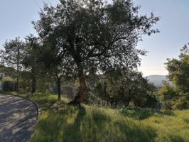 Terreno en venta en Tordera, UR. MAS MORA photo 0