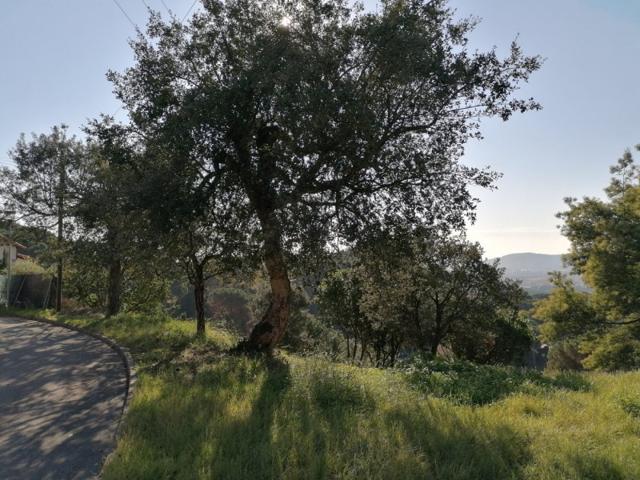 Terreno en venta en Tordera, UR. MAS MORA photo 0