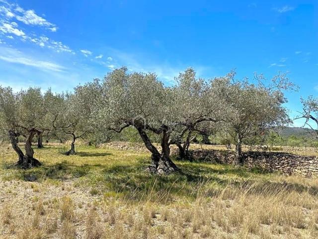 Terreno en venta en el Perelló, Mas de Baralluga, 43519 photo 0