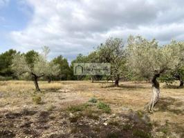 Terreno en venta en el Perelló, Mas de Baralluga, 43519 photo 0