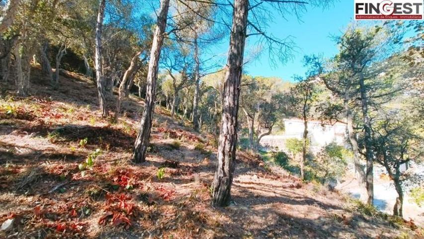 Terreno en venta en Lloret de Mar, Serra Brava photo 0