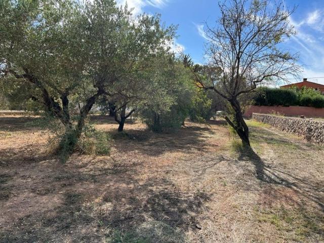 Terreno en venta en Ontinyent, Cercana Poblacion photo 0