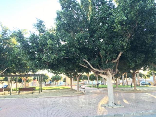 Terreno en venta en Pulpí, CENTRO photo 0