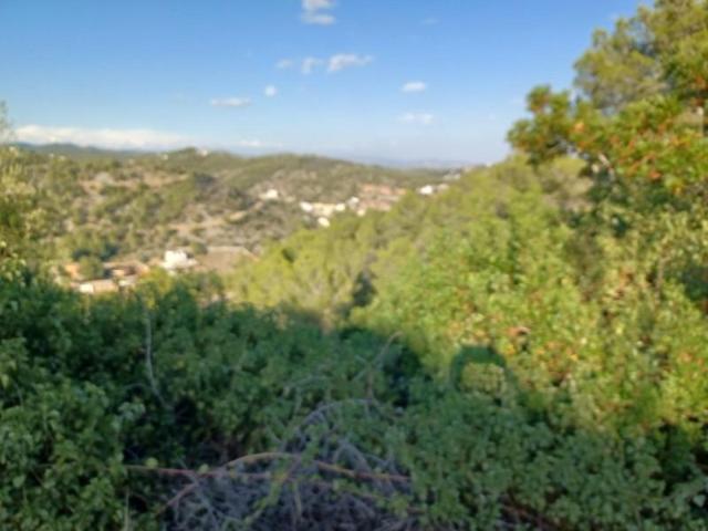 Terreno en venta en Castellet i la Gornal, Urb. Los Rosales photo 0