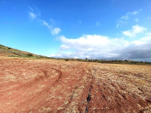 Terreno en venta en Telde, Valle de los Nueve - El Ejido - Medianías photo 0