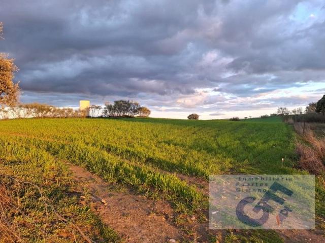 Terreno en venta en Alcaracejos photo 0