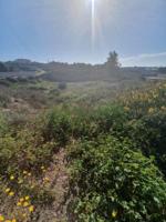 Terreno en venta en Pechina, Pechina photo 0