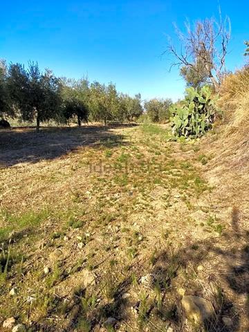Terreno en venta en Dílar, Camino de la Dehesa, 18152 photo 0