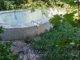 Terreno en venta en Esparreguera, MAS D'EN GALL photo 0