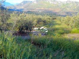 Terreno en venta en Priego de Córdoba, Pre. cañada de cahicena, 0, 14800 photo 0