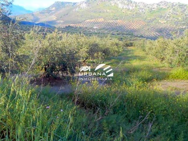 Terreno en venta en Priego de Córdoba, Pre. cañada de cahicena, 0, 14800 photo 0