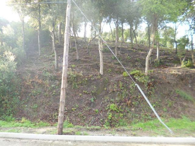 Terreno en venta en Palafolls, Urb. ciudad jardin photo 0