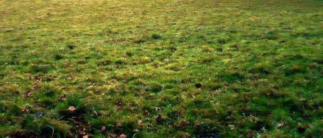 Terreno en venta en Siero photo 0