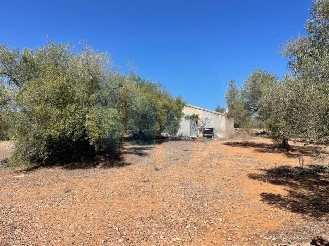 Casa con terreno en venta en L'Ampolla photo 0